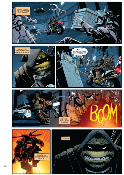 Teenage Mutant Ninja Turtles: The Last Ronin