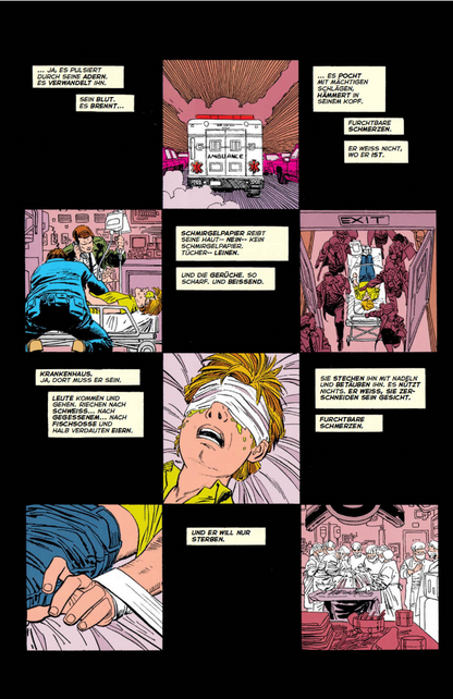 Daredevil: Der Mann ohne Furcht (Pocket Edition)